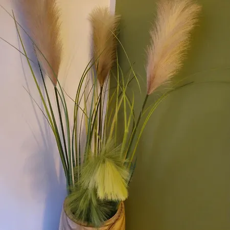 Feriehus Petite Maison - Porto-vecchio *