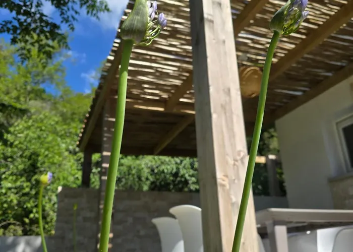 Petite Maison - Porto-vecchio Holiday home